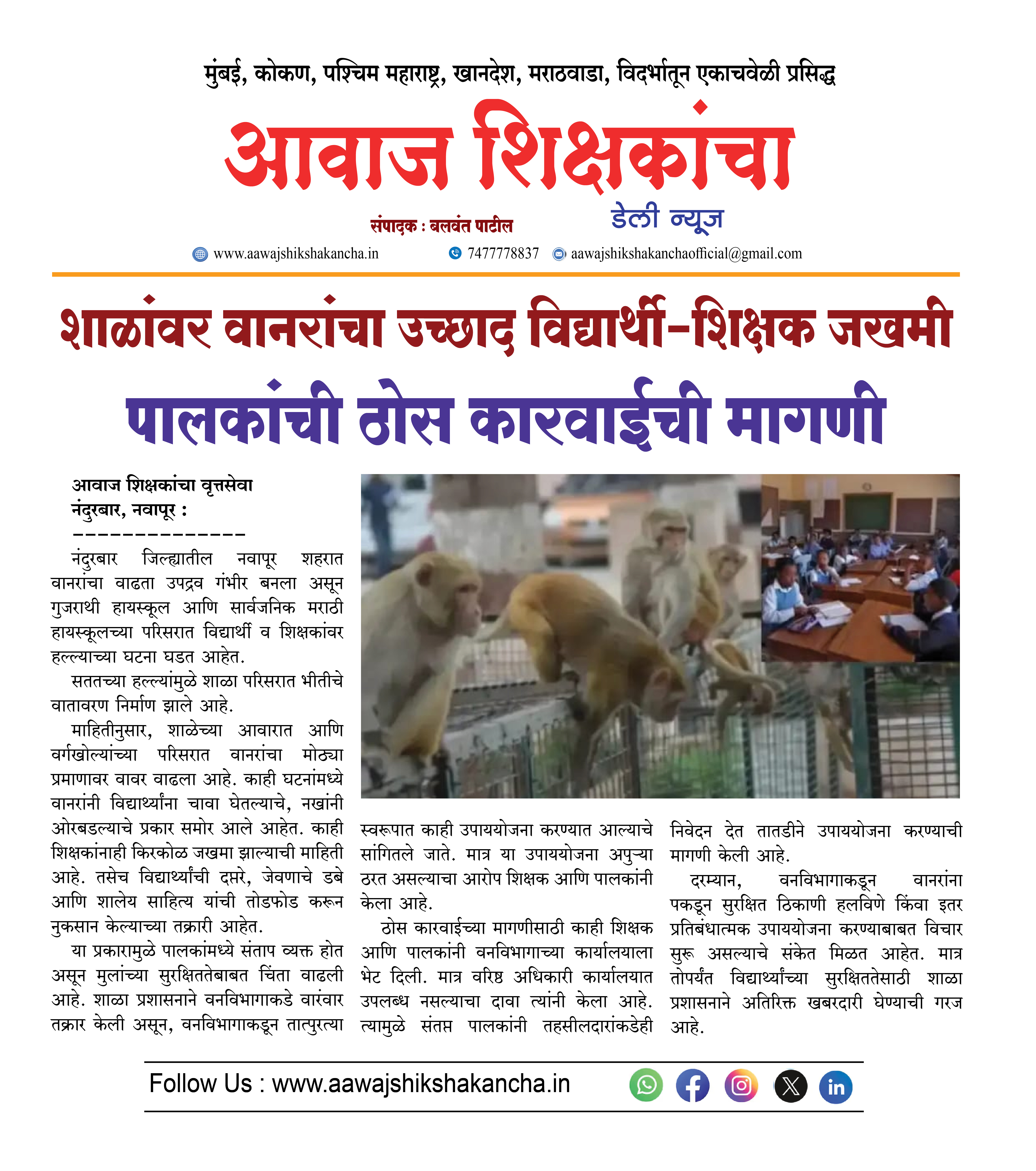 शाळांवर वानरांचा उच्छाद विद्यार्थी-शिक्षक जखमी